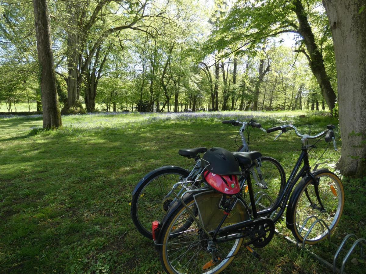 Domaine De Chatenay - Le Mans Saint-Saturnin  Eksteriør bilde