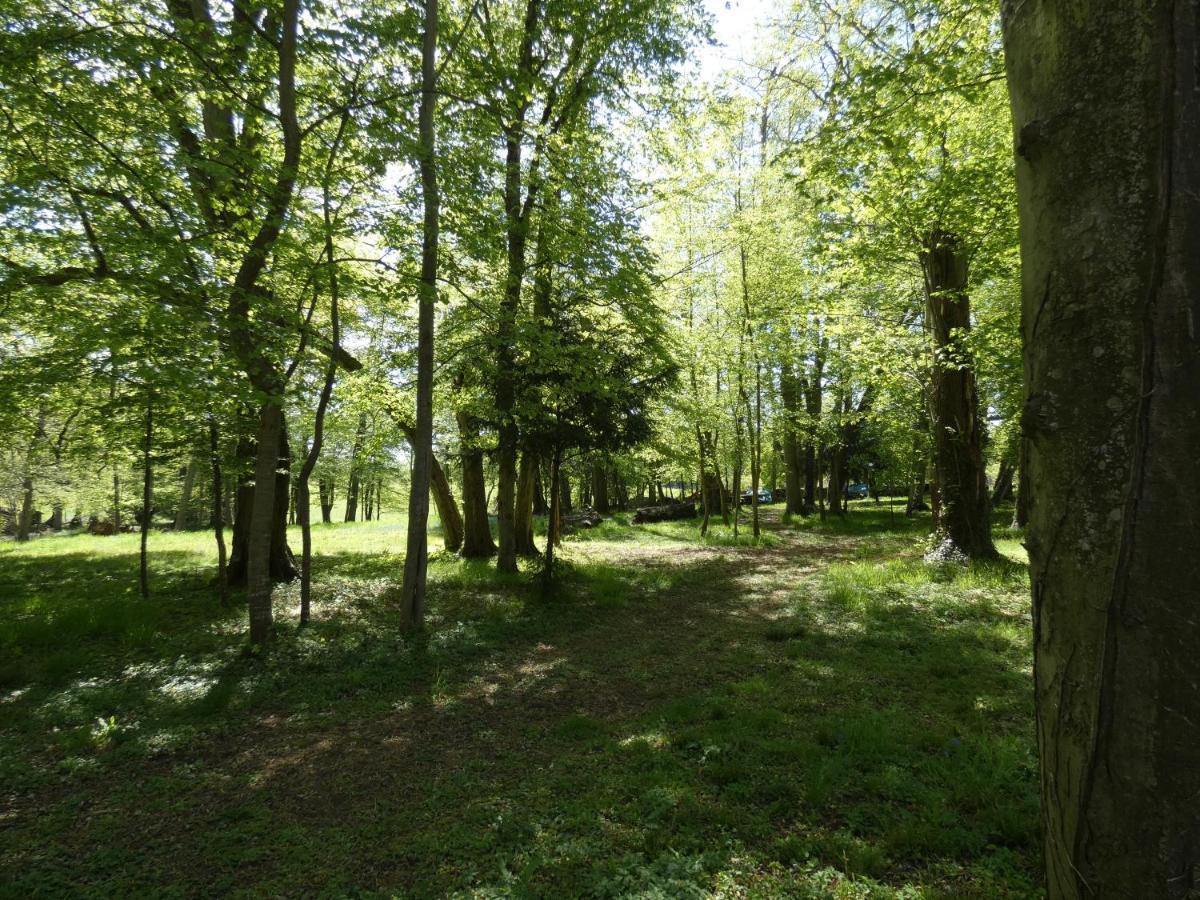 Domaine De Chatenay - Le Mans Saint-Saturnin  Eksteriør bilde