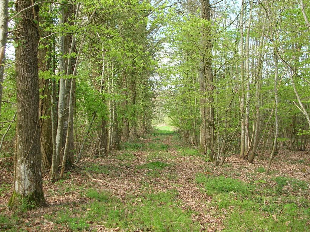 Domaine De Chatenay - Le Mans Saint-Saturnin  Eksteriør bilde