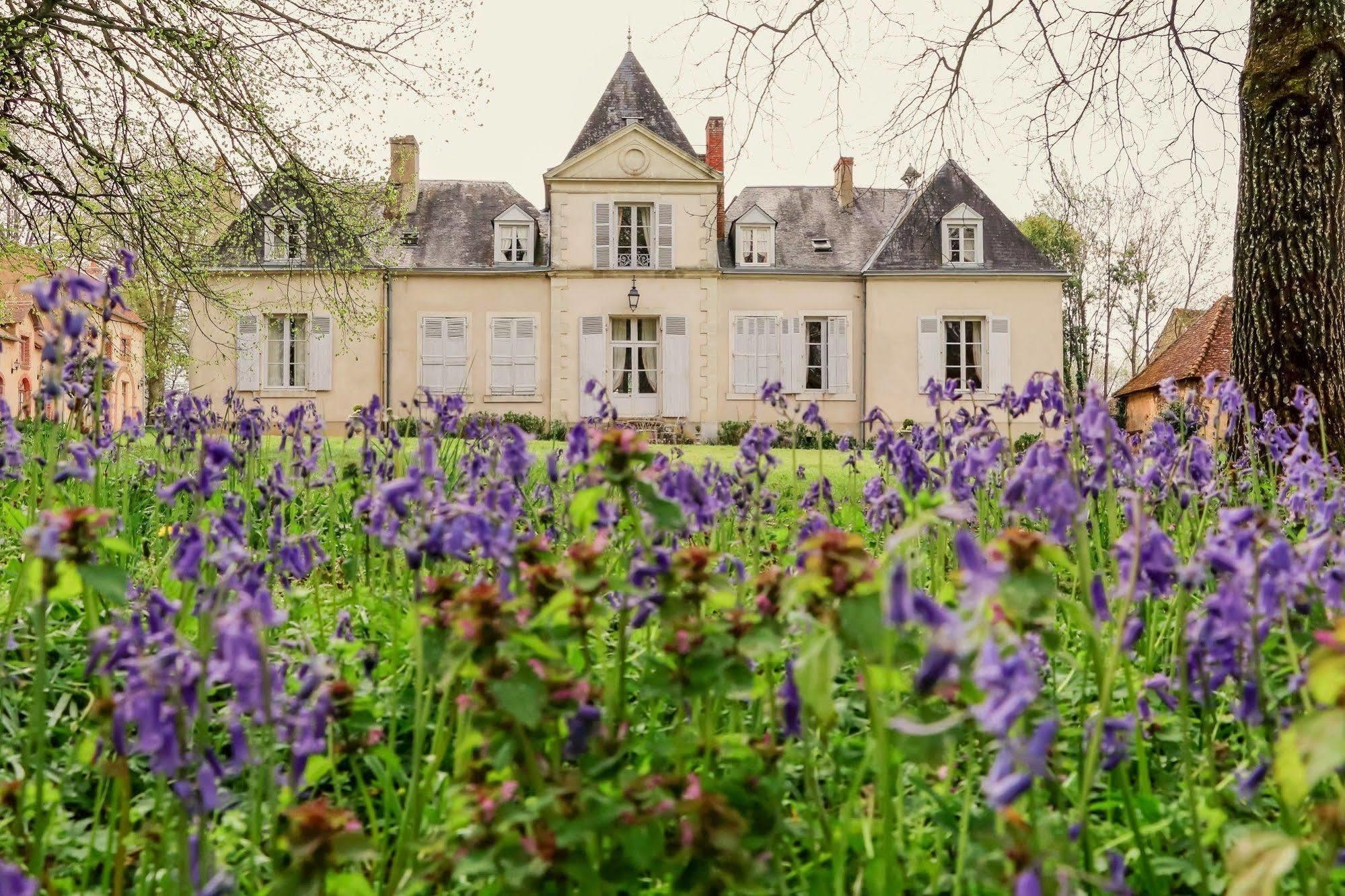 Domaine De Chatenay - Le Mans Saint-Saturnin  Eksteriør bilde