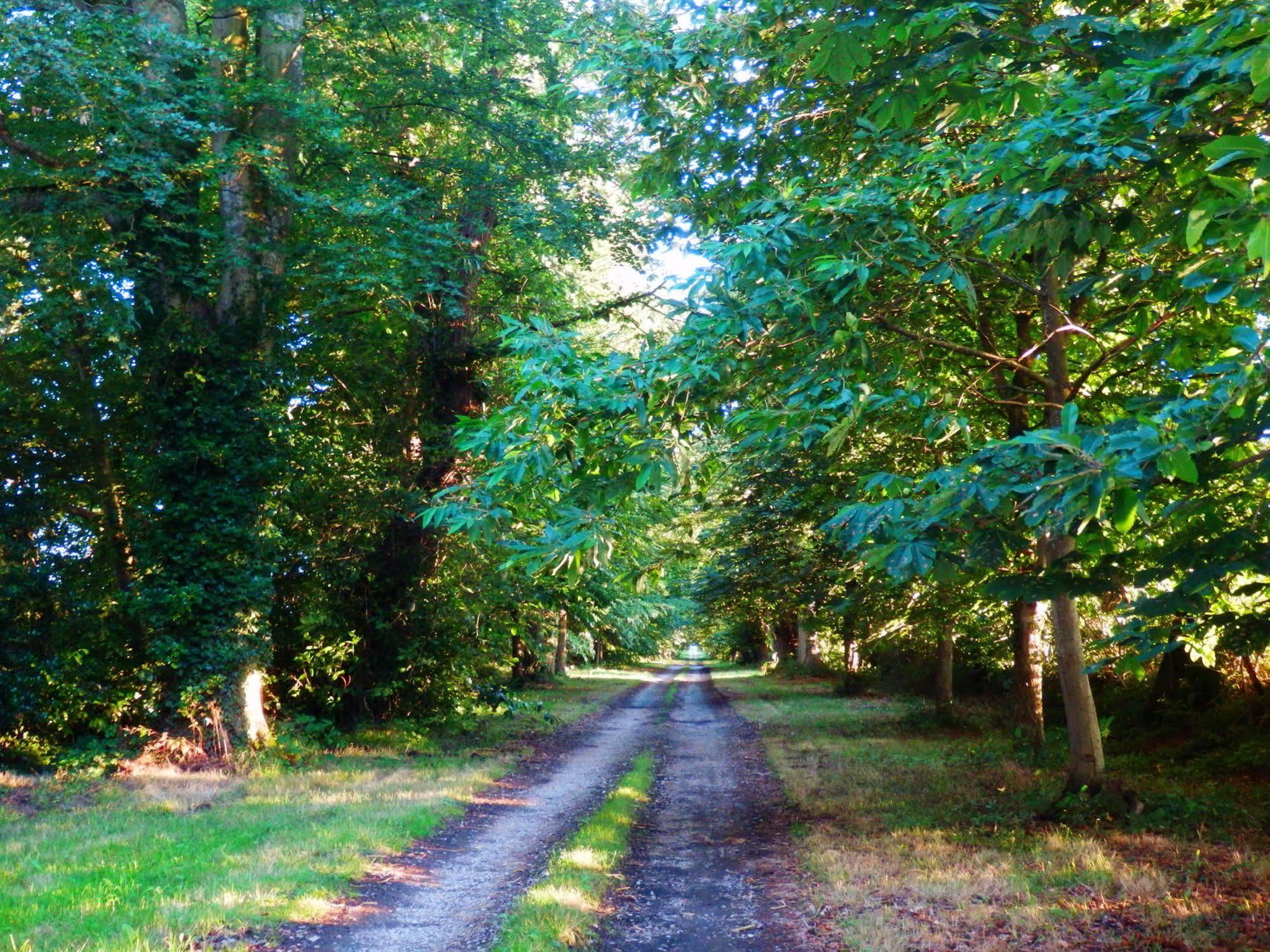 Domaine De Chatenay - Le Mans Saint-Saturnin  Eksteriør bilde